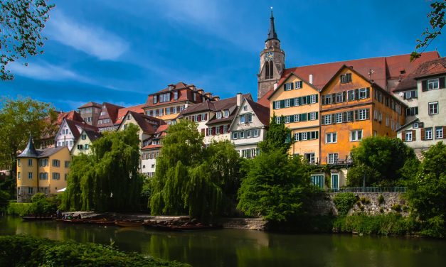 Programul “Teach@Tübingen”